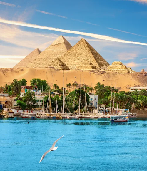 Egypt.webp