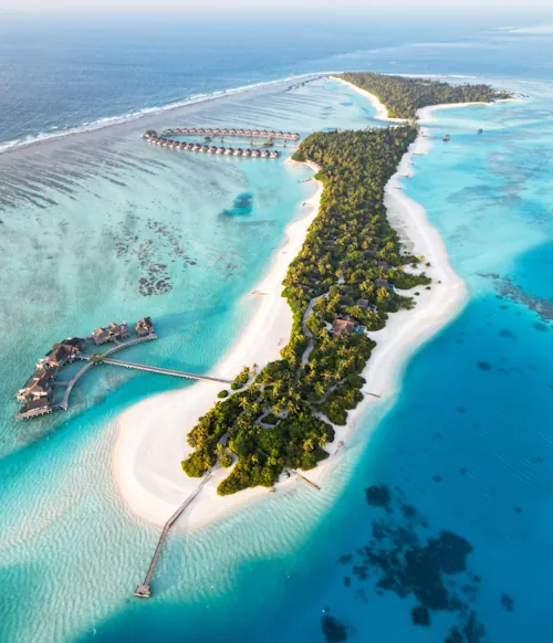 Maldives.webp