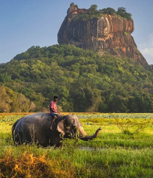 Sri-Lanka.webp